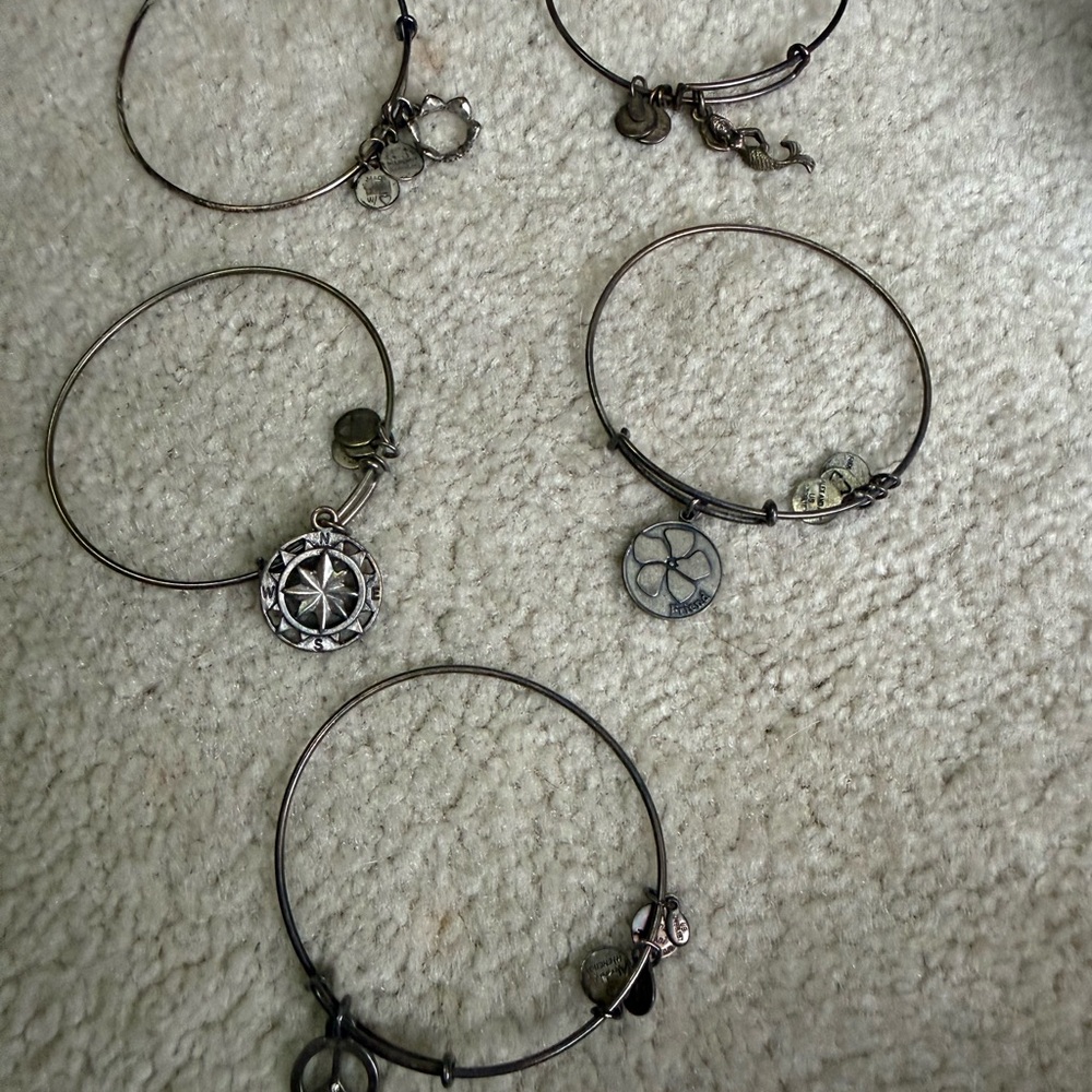 Various Alex and Ani charm bracelets (17)